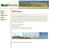 Tablet Screenshot of catenaconsulting.com